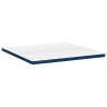 Coussins de Matelas Blanc et Bleu 180 x 200 cm 