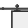 Porte coulissante avec kit de quincaillerie 90x205 cm Verre ESG 