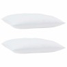 Oreillers 2 pcs Blanc 70 x 90 cm 
