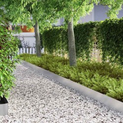 Bordure de jardin Argent 450 x 20 cm Acier inoxydable 