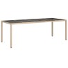 Table de jardin Beige 250x100x75 cm Verre trempé et poly rotin 