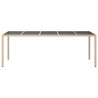 Table de jardin Beige 250x100x75 cm Verre trempé et poly rotin 