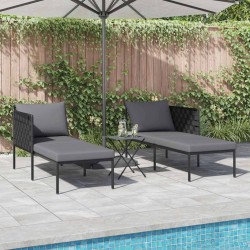 Transat avec coussins pour 2 personnes Anthracite 115x153x69,5 cm Acier 