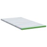 Coussins de Matelas Blanc et vert 90 x 190 cm 