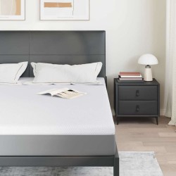Coussins de Matelas Blanc 200 x 200 cm 