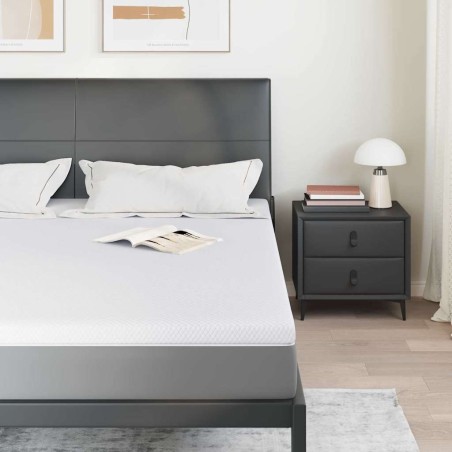 Coussins de Matelas Blanc 200 x 200 cm 