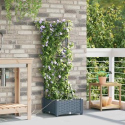 Jardinières de jardin 1 pc Treillis Gris clair 40 x 40 x 126 cm 