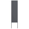 Panneau décoratif de jardin Anthracite 32 x 140 cm 