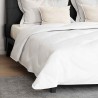 Couette avec oreiller 3 pcs Blanc 240 x 200 cm Microfibre 