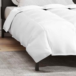 Couettes et Duvets Blanc 135 x 220 cm Bas 