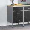 Cabinet de travail Noir 50x55x85 cm Acier 