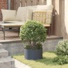 Pots en métal anthracite Anthracite Métal Moyen 