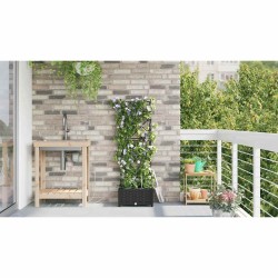 Jardinières de jardin 1 pc Noir 40 x 40 x 126 cm Plastique 