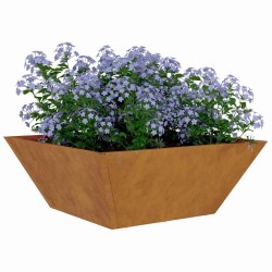 5 jardinières en acier corten, 40x40x15 cm 