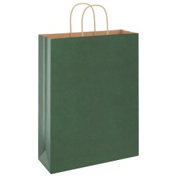 Sacs en papier 250 pcs avec poignées vert 32x12x42 cm 