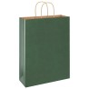 Sacs en papier 250 pcs avec poignées vert 32x12x42 cm 