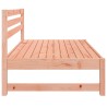 Canapés centraux de jardin 2 pcs 120x80 cm bois massif douglas 