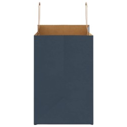 Sacs en papier 250 pcs avec poignées bleu 26x17x25 cm 