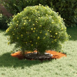 Pot en acier corten Acier corten Grand Empilable 