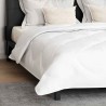 Couette avec oreiller 3 pcs Blanc 200 x 200 cm Microfibre 
