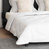 Couette avec oreiller 3 pcs Blanc 240 x 200 cm Microfibre 