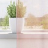 Rideaux en voile avec passe-tringles 2 pcs rose clair 