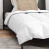 Couette avec oreiller 2 pcs Blanc 150 x 200 cm Bas 