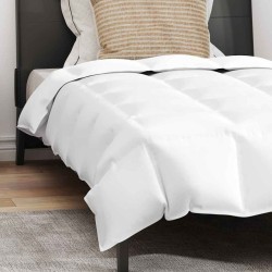 Couette avec oreiller 2 pcs Blanc 155 x 220 cm Bas 