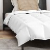 Couette avec oreiller 2 pcs Blanc 155 x 220 cm Bas 