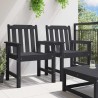 Chaises de jardin 2 pcs Noir HDPE 