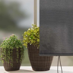 Store Roulant Extérieur Rayé Réglable Anthracite 200 x 250 cm tissu 