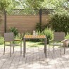 Ensemble de Salle à Manger de Jardin 3 Pièces en Rattan Poly Gris 