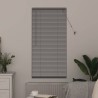 Store de Fenêtre avec des rideaux Argenté 60 x 130 cm Aluminium 