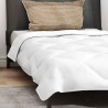 Duvet avec Oreiller Autre 2 pcs Blanc 135 x 200 cm Microfibre 