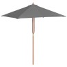 Parasol d'extérieur avec mât en bois 150x200 cm anthracite 