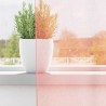 Rideaux en voile avec passe-tringles 2 pcs rose 