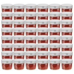 48 pcs Pots à confiture avec couvercles argentés Verre 110 ml 