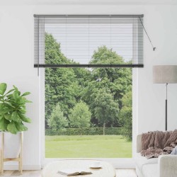 Store de Fenêtre Gris foncé 155 x 220 cm Aluminium 