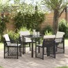 Ensemble salle à manger jardin 5 pièces avec coussins poly rotin noir 