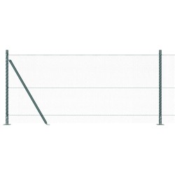 Clôture Hexagonale Verte 1x50 m en Acier 