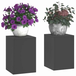 Supports de plantes d'extérieur 2 pièces Noir 24x24x35 cm Acier 