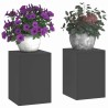 Supports de plantes d'extérieur 2 pièces Noir 24x24x35 cm Acier 