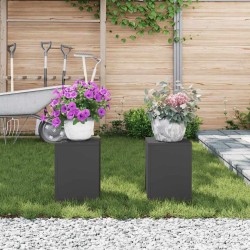 Supports de plantes d'extérieur 2 pièces Noir 24x24x35 cm Acier 