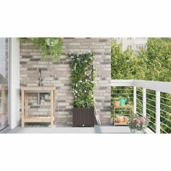 Jardinières de jardin 1 pc Marron 40 x 40 x 142 cm Plastique 