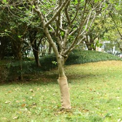 Rouleau de jute 0,5x10 m 100 % jute 200 g/m² 