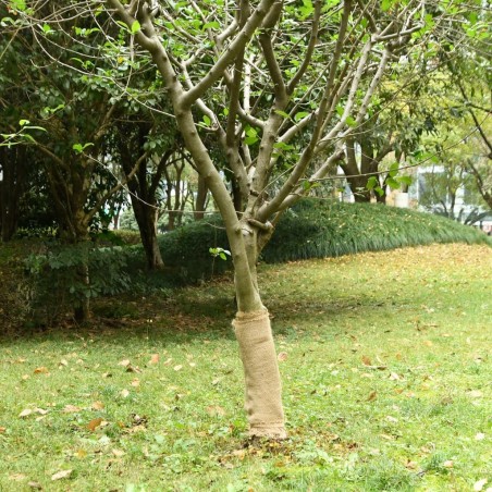 Rouleau de jute 0,5x10 m 100 % jute 200 g/m² 