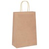 Sacs en papier 50 pcs avec poignées marron 21x11x31 cm 
