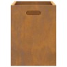 Fire Pit Rectangulaire 50x30x40 cm en Acier Weathering 