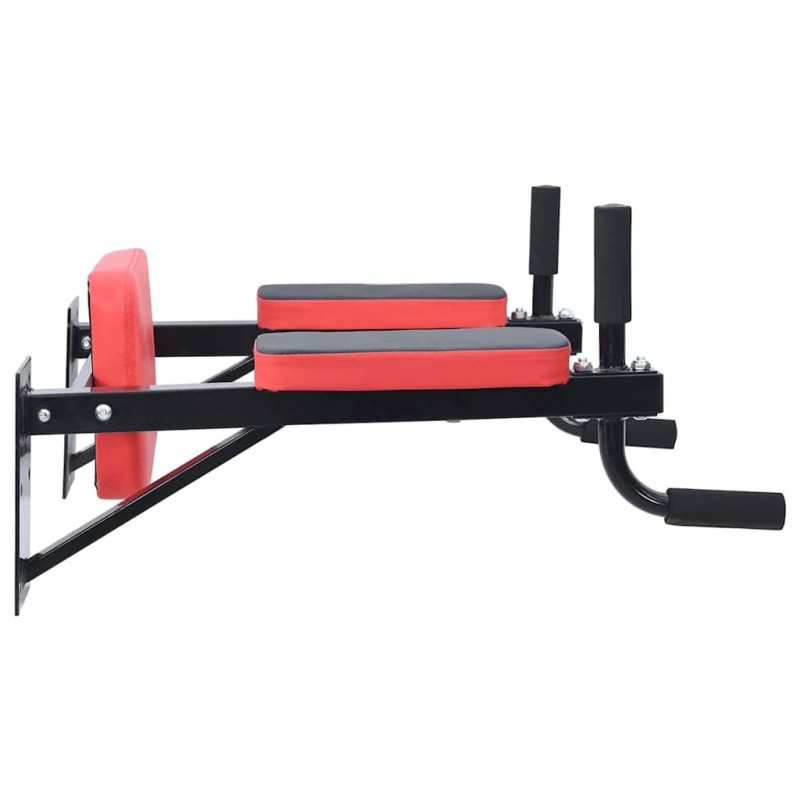 Station Dips Murale 100 kg Acier 