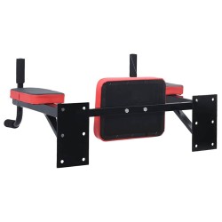 Station Dips Murale 100 kg Acier 